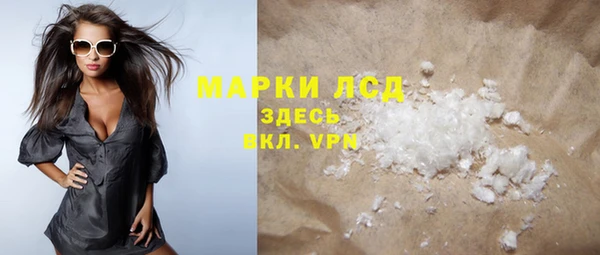 ГАЛЛЮЦИНОГЕННЫЕ ГРИБЫ Няндома