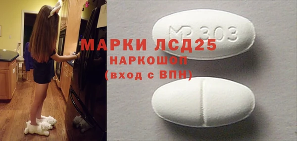 ГАЛЛЮЦИНОГЕННЫЕ ГРИБЫ Няндома