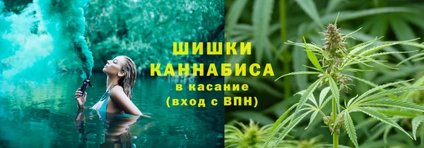 ГАЛЛЮЦИНОГЕННЫЕ ГРИБЫ Няндома