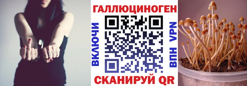 Галлюциногенные грибы Psilocybe  где купить наркотик  Ужур 